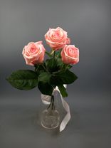 Фото флориста 3: Букет из 3 розовых роз с лентой 40 см, Россия