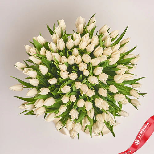 Фото 2: 101 белый тюльпан, Россия. Сервис доставки цветов AzaliaNow