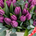 Маленькое фото 5: 45 фиолетовых тюльпанов в белой коробке с эвкалиптом, Россия. Сервис доставки цветов AzaliaNow