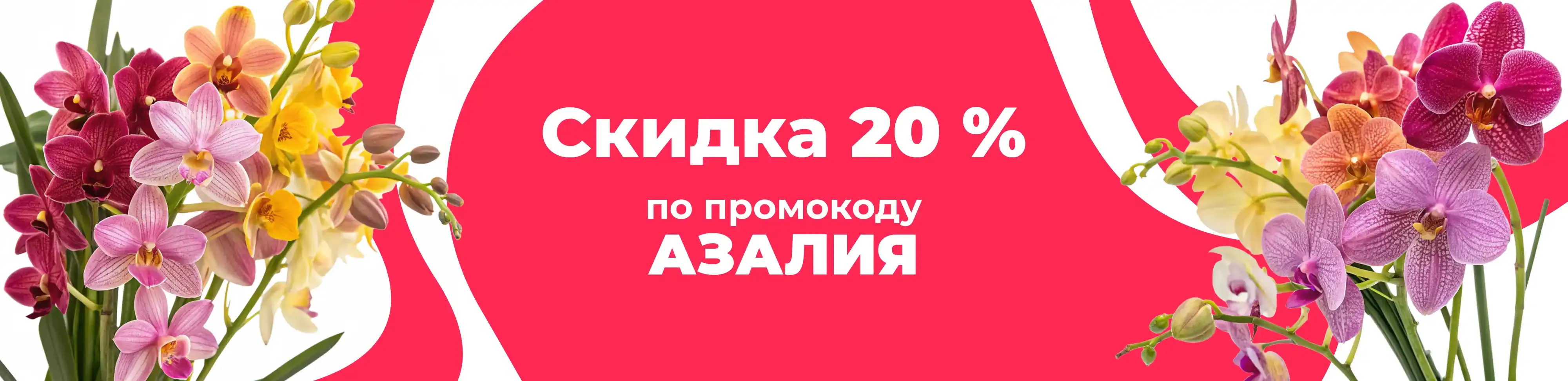 Баннер для рубрики: Орхидеи Ванда