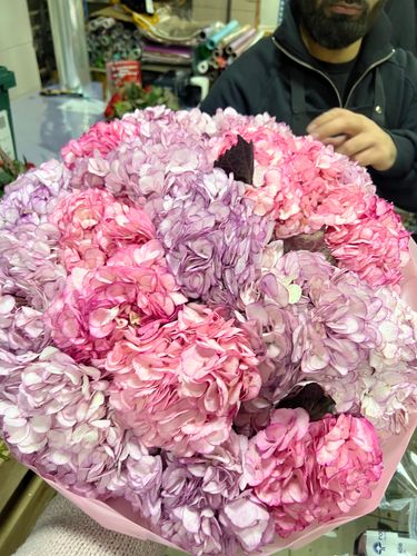 Показать все изображения