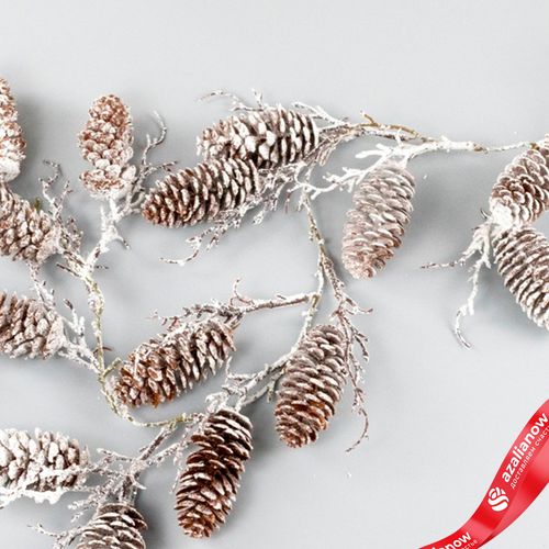 Фото 3: Гирлянда из шишек заснеженная, 105 см, коричневый