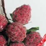Маленькое фото 4: Набор малины засахаренной на вставках 10шт., D2,2x3xL11см, малиновый