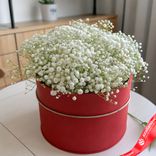 Маленькое фото 1: Букет из 15 гипсофил в красной коробке. Сервис доставки цветов AzaliaNow
