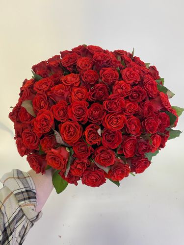 Показать все изображения