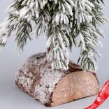 Маленькое фото 5: Ель искусственная заснеженная Н25х12х12см, зеленый/белый