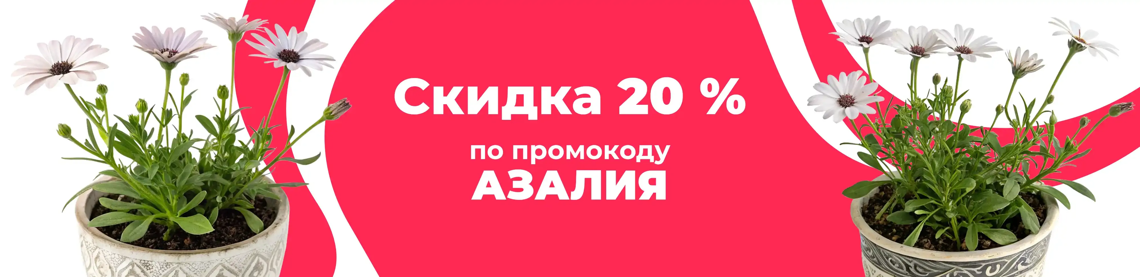 Баннер для рубрики: Саженцы