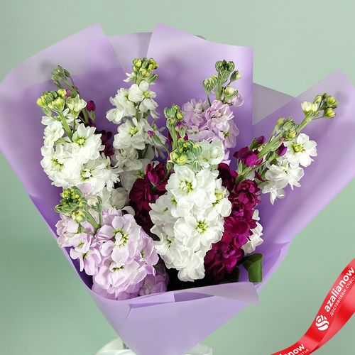 Фото 3: Букет из 9 маттиол микс в сиреневой пленке