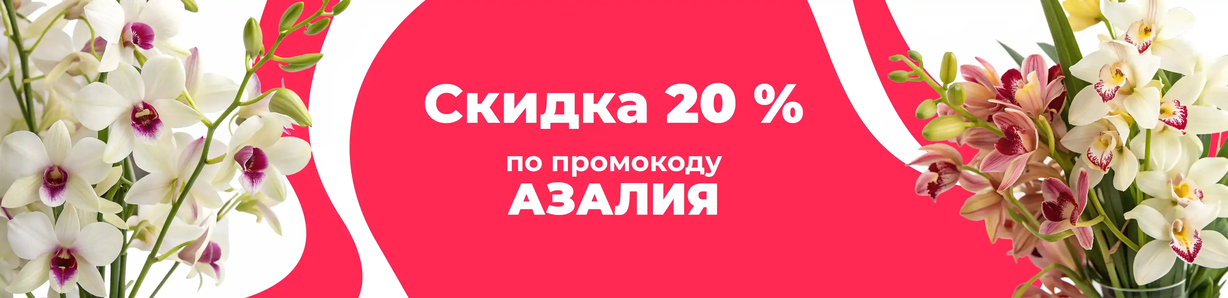 Баннер для рубрики: Орхидеи Дендробиум