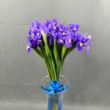 Фото флориста 1: Букет из 25 белых ирисов с лентой