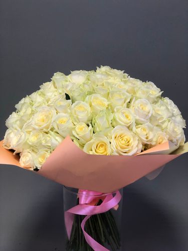 Показать все изображения