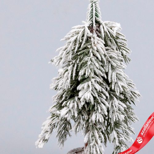 Фото 2: Ель искусственная заснеженная Н25х12х12см, зеленый/белый