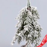 Маленькое фото 2: Ель искусственная заснеженная Н25х12х12см, зеленый/белый