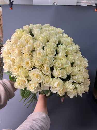 Показать все изображения