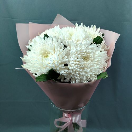 Фото флориста 1: Хризантемы одноголовые