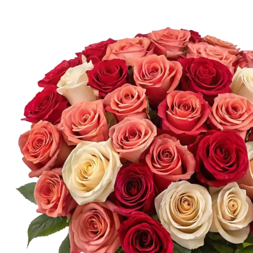 Еще больше роз тут