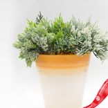 Маленькое фото 2: Кашпо (пластик), 1,7л, D15xН17,5см, оранжевый