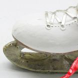 Маленькое фото 5: Сувенир «Санта в коньке» (полирезин), Н13,5х12,5х5см, в асс., белый/золотой