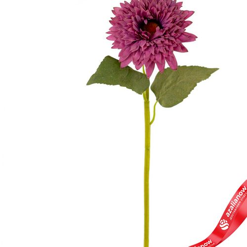 Фото 4: Георгин искусственный (пластик), 60см, сиреневый