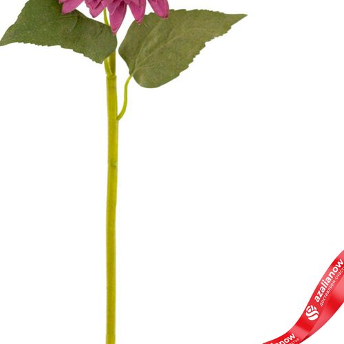 Фото 5: Георгин искусственный (пластик), 60см, сиреневый