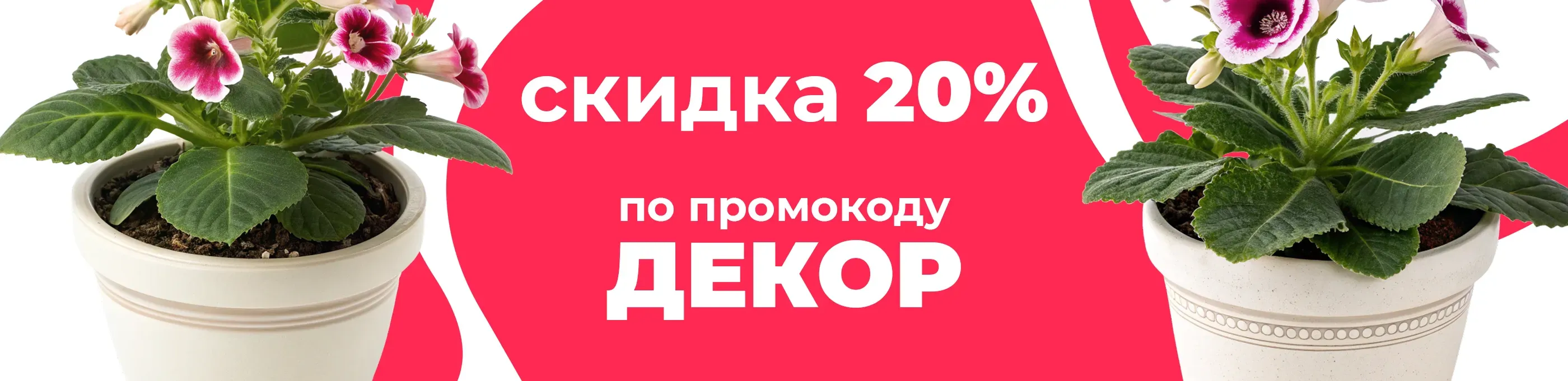 Баннер для рубрики: Горшки для глоксинии