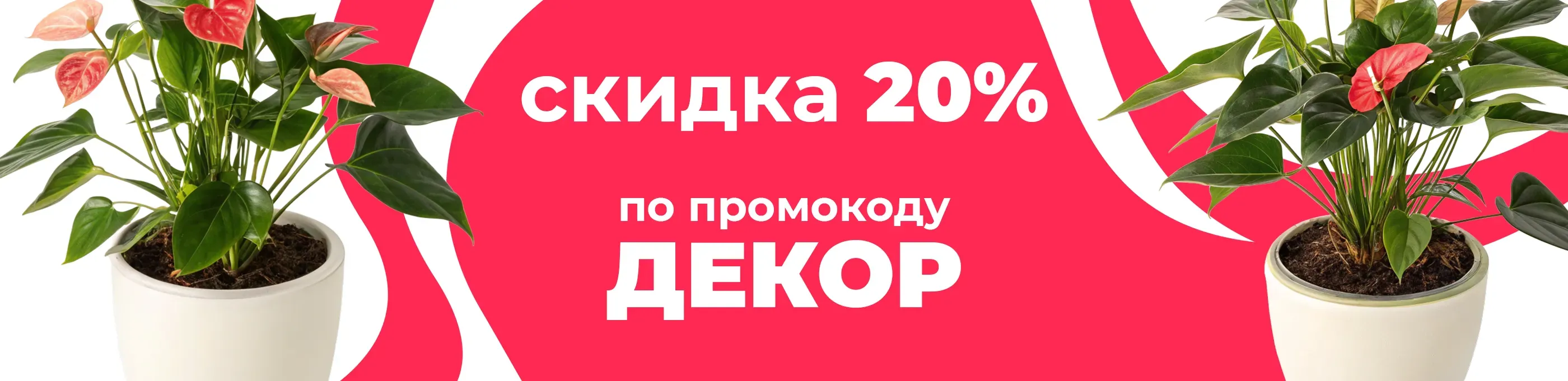 Баннер для рубрики: Горшки для антуриума