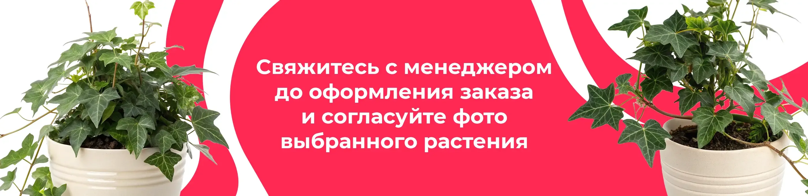 Баннер для рубрики: Хедеры вандер