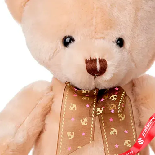 Фото 8: Букет из 15 красных роз «Признание в любви» + Мишка