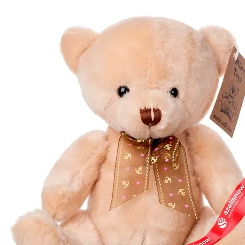 Фото 6: Букет из 17 красных роз «Любимка» с мягкой игрушкой и набором конфет в подарок