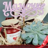 Маленькое фото 5: Подарочный набор «Мамочке» с суккулентом Эхеверия Миранда, шоколадками и ароматом для дома