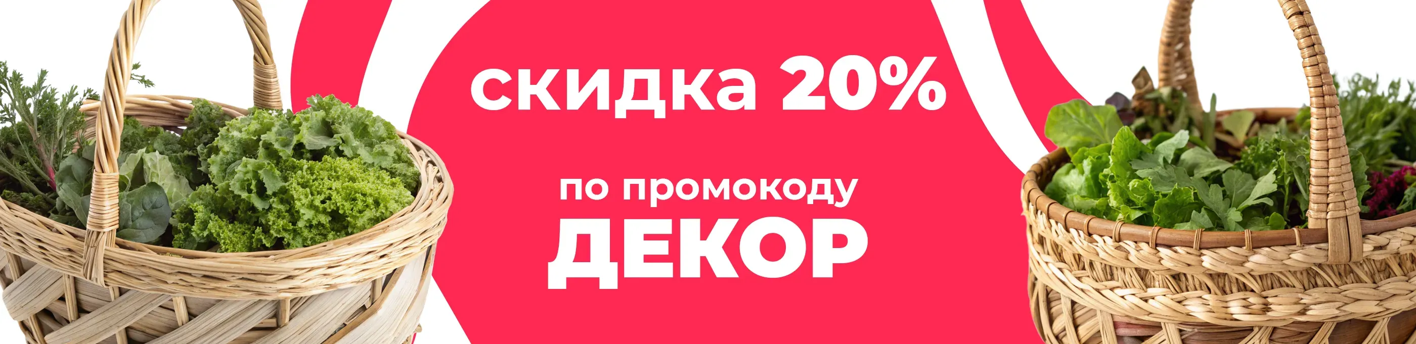 Баннер для рубрики: Корзины для зелени