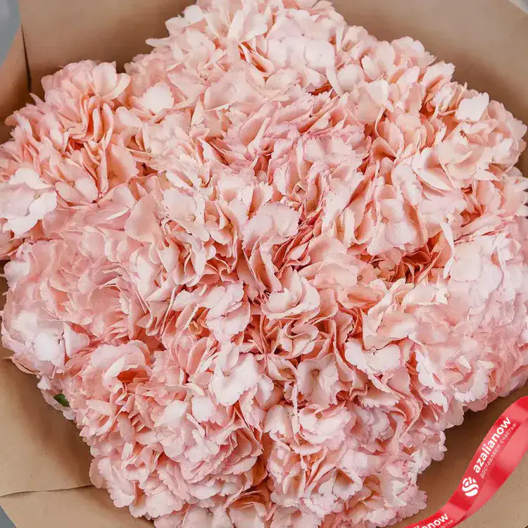 Фото 4: Шикарный букет из 15 розовых гортензий. Сервис доставки цветов AzaliaNow
