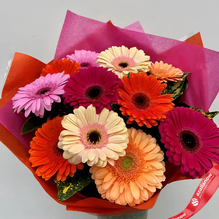 Фото 1: Букет из 11 разноцветных гербер. Сервис доставки цветов AzaliaNow