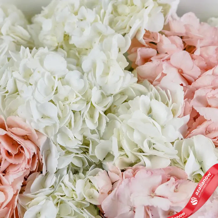 Фото 4: Букет из 19 гортензий «Удивляй в бело-розовых тонах». Сервис доставки цветов AzaliaNow