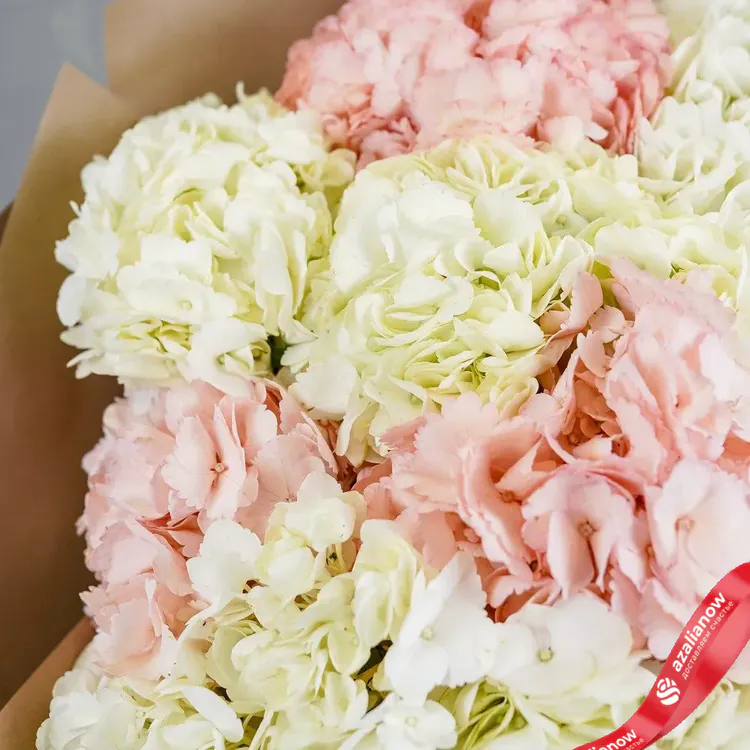 Фото 4: Букет из 15 бело-розовых гортензий «Шик». Сервис доставки цветов AzaliaNow