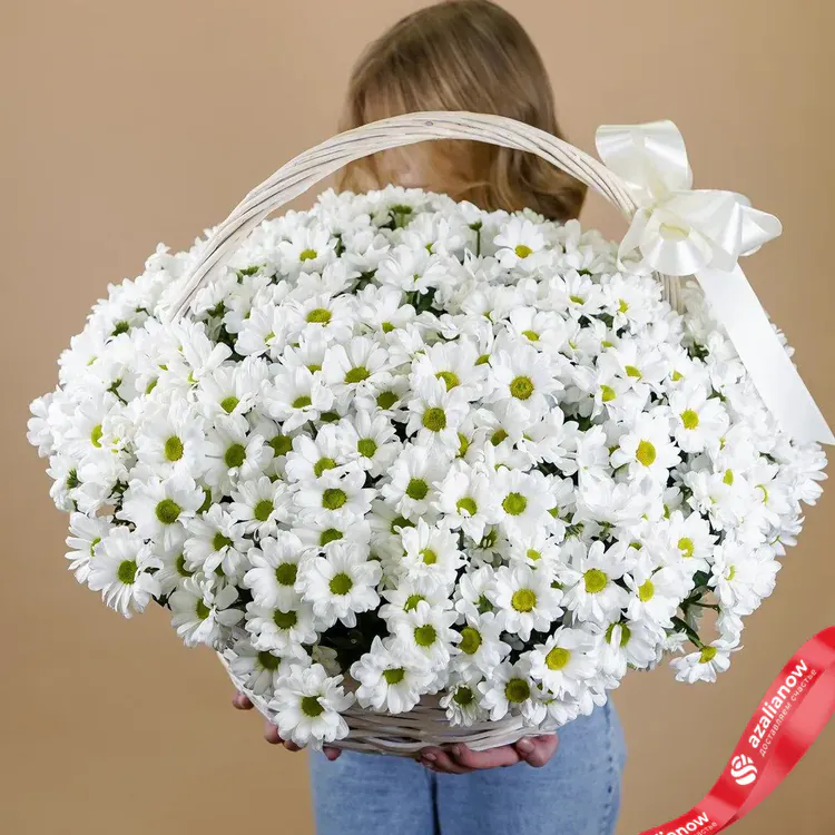 Фото 1: Акция! Огромный шикарный букет из 49 белых хризантем. Сервис доставки цветов AzaliaNow