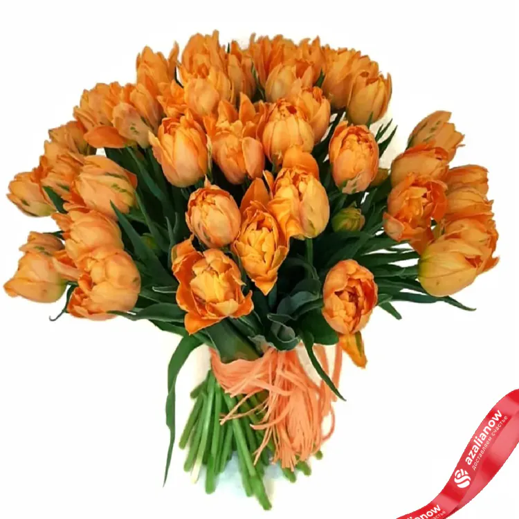 Фото 1: 51 пионовидный оранжевый тюльпан, Россия. Сервис доставки цветов AzaliaNow