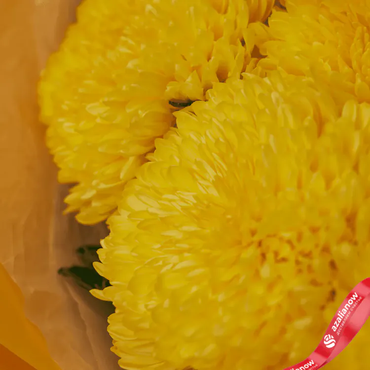 Фото 3: Букет из 15 желтых хризантем «Все для тебя». Сервис доставки цветов AzaliaNow