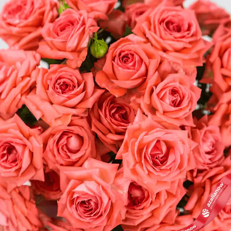 Фото 3: Букет из 15 коралловых роз «Загадай желание». Сервис доставки цветов AzaliaNow