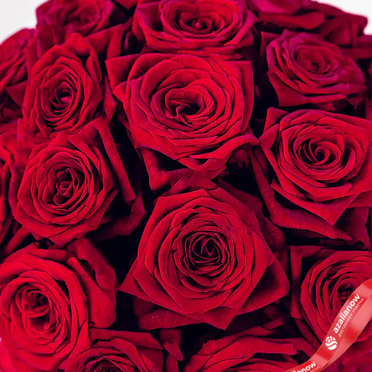 Фото 3: Букет из 19 роз «Салют» + Ferrero Rocher в подарок. Сервис доставки цветов AzaliaNow