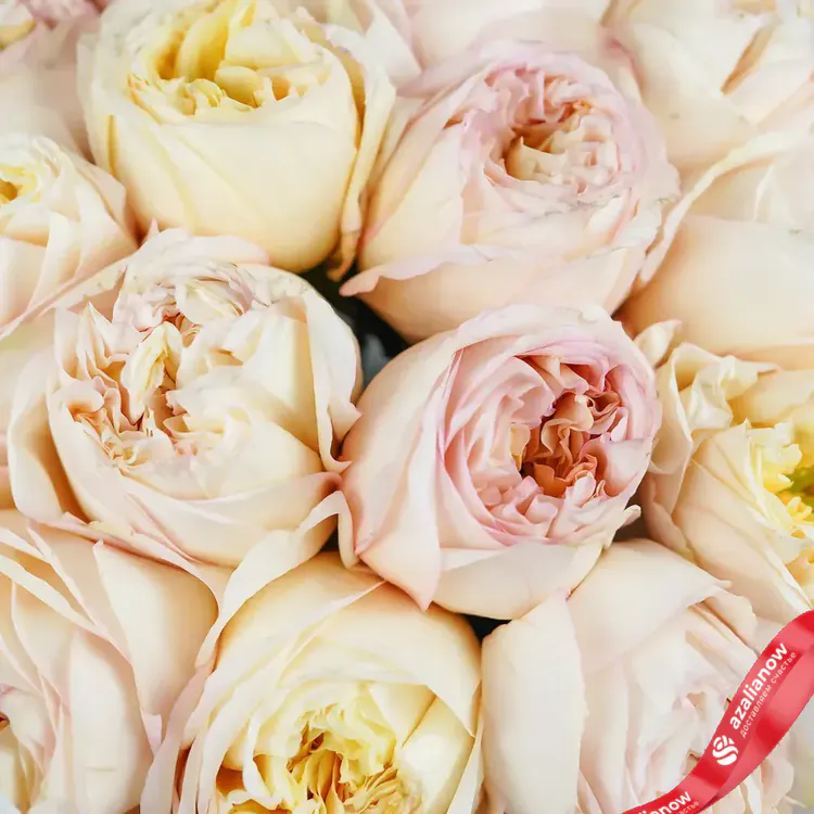 Фото 5: Букет из 17 пионовидных роз «Ванильное небо». Сервис доставки цветов AzaliaNow