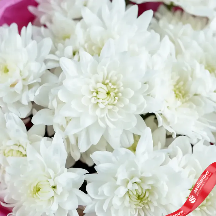Фото 6: Букет из 15 белых хризантем в розовой бумаге «Верность». Сервис доставки цветов AzaliaNow