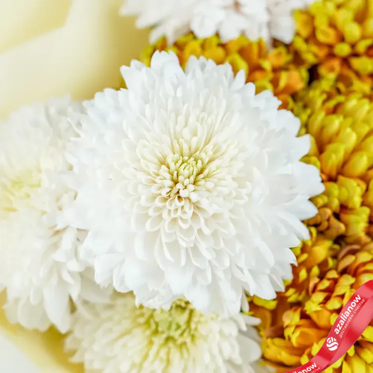 Фото 7: Букет из белых и желтых хризантем «Вивьенна». Сервис доставки цветов AzaliaNow