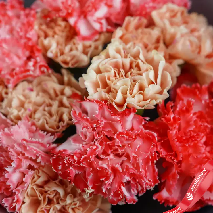 Фото 6: Букет из красных и бежевых гвоздик «Грация». Сервис доставки цветов AzaliaNow
