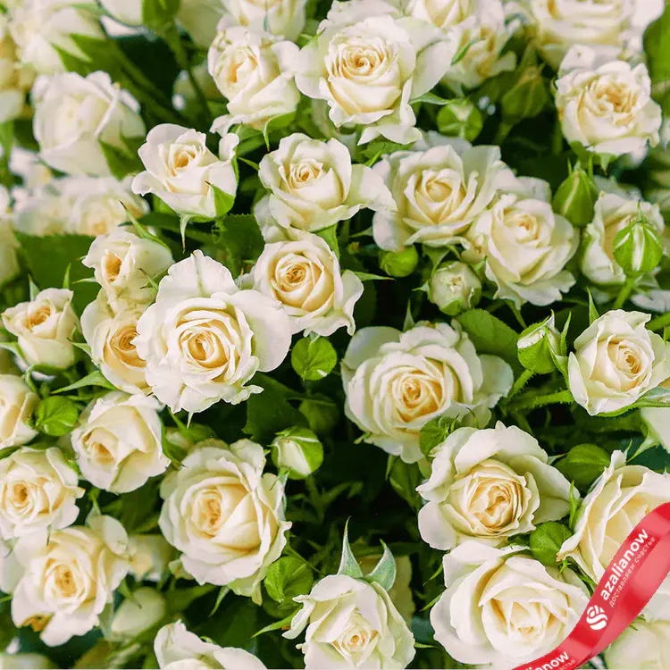 Фото 3: Букет из 19 белых роз в коробке «История любви». Сервис доставки цветов AzaliaNow