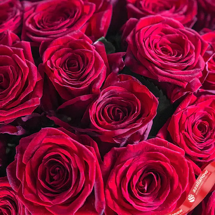 Фото 2: Акция! 29 красных роз Наоми, 50 см, Россия. Сервис доставки цветов AzaliaNow