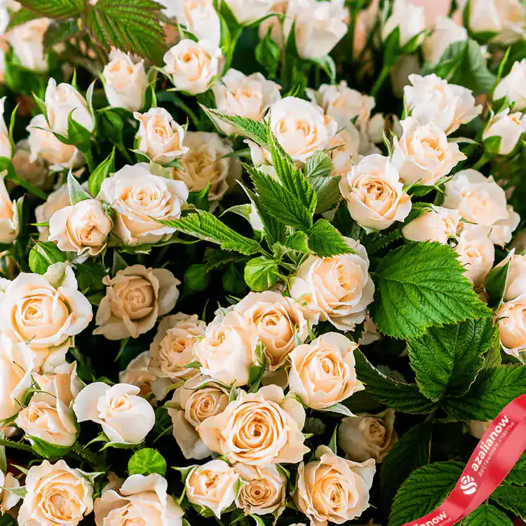 Фото 3: Акция! Букет из 19 кремовых роз «Ласточка». Сервис доставки цветов AzaliaNow