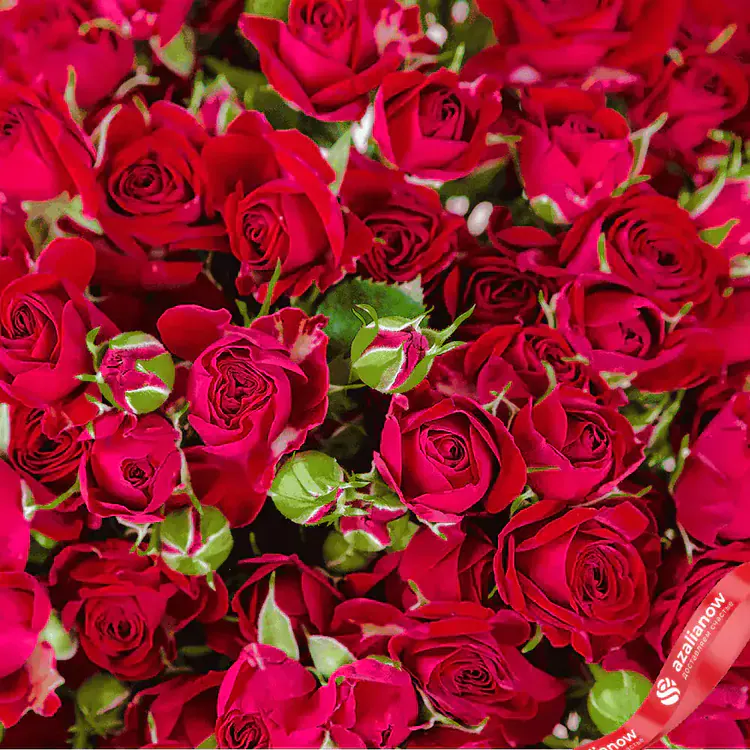 Фото 2: Букет из 19 красных роз в коробке «Любимая моя». Сервис доставки цветов AzaliaNow