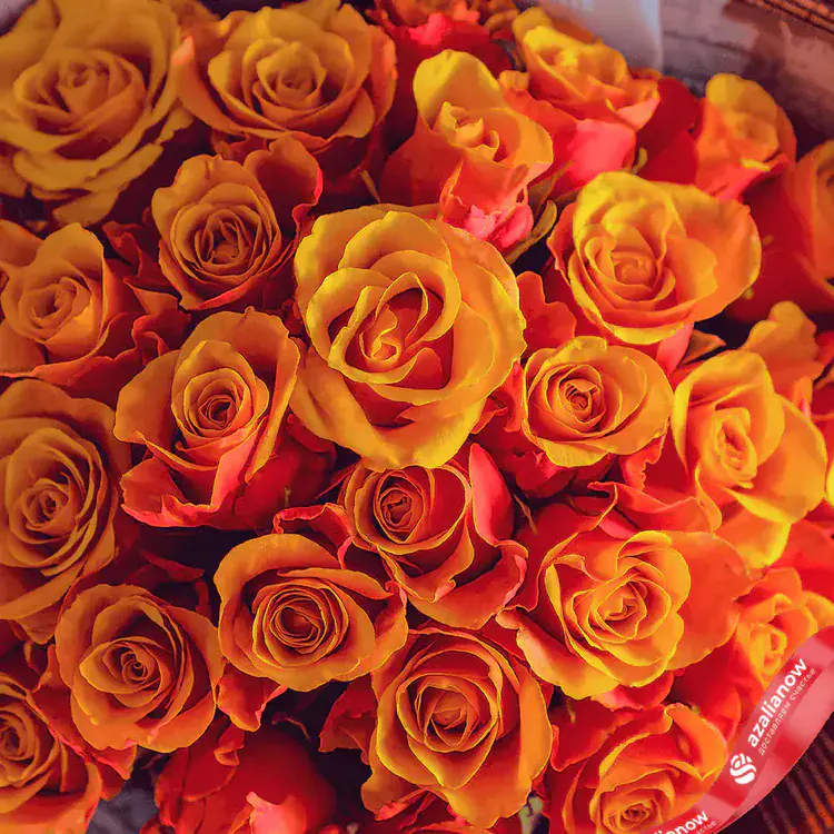 Фото 2: Акция! Тигренок 29 оранжевых роз. Сервис доставки цветов AzaliaNow