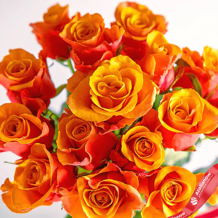Фото 2: Букет из 15 оранжевых роз «Огонёк счастья». Сервис доставки цветов AzaliaNow